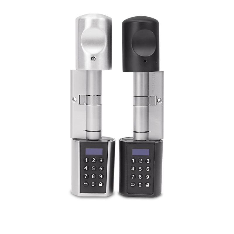 Nuove Serrature Intelligenti L - Electronics Home Gadgets recensione e prezzo